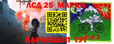 прущие грибы Азнакаево