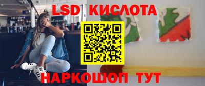 прущие грибы Абакан