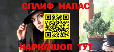 прущие грибы Абакан