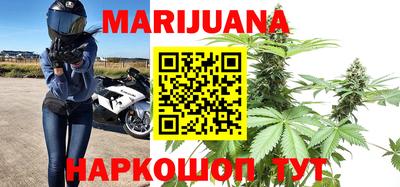 прущие грибы Абакан