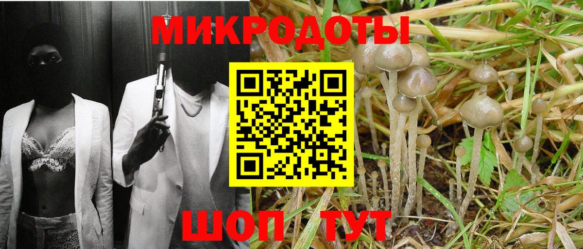 Галлюциногенные грибы Psilocybe  Вход с VPN  Анапа  Галлюциногенные грибы MAGIC MUSHROOMS 